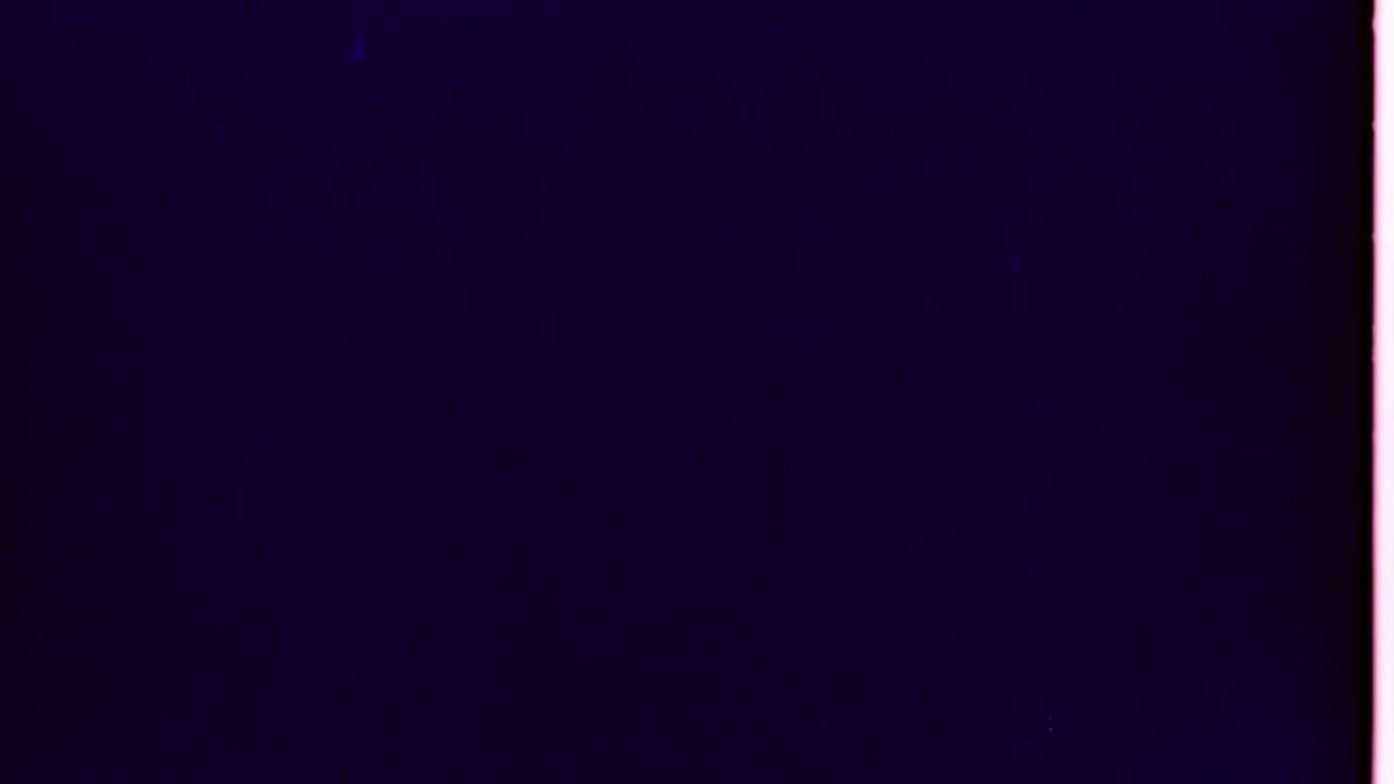 SUMMER DAZE 2021 08.18