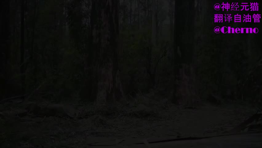 【62】C++的线程