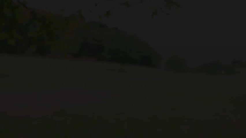 【86】C++持续集成