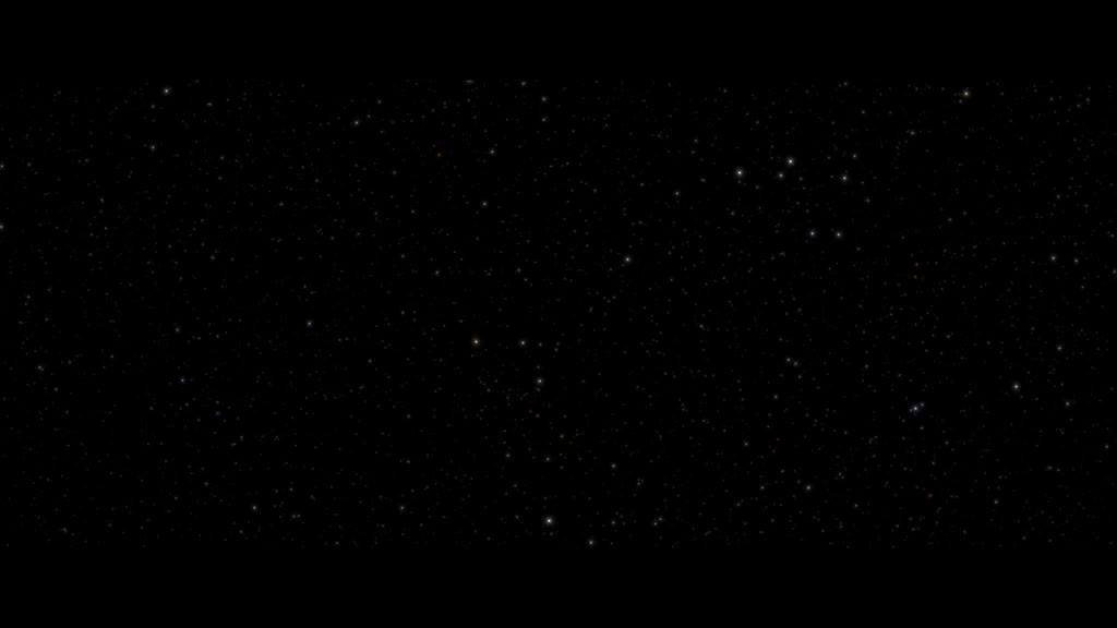 机器人《玫瑰人生》