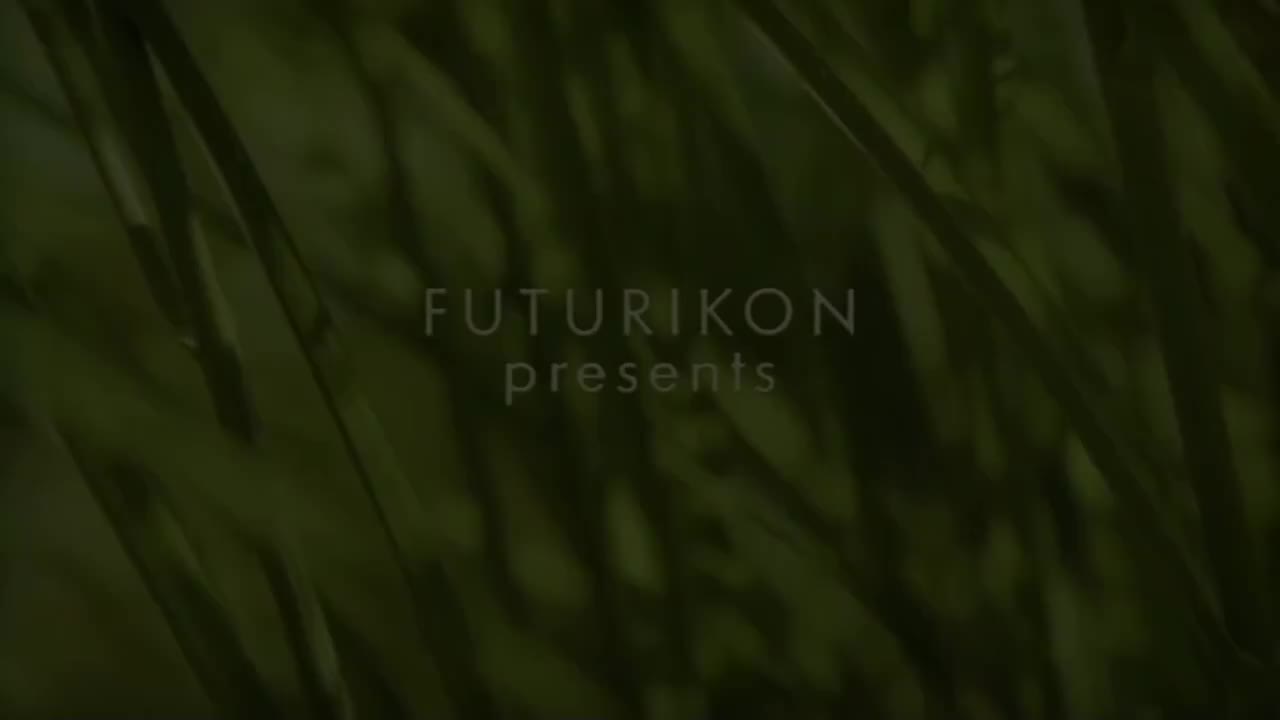 第二季 V3（第31到49集）