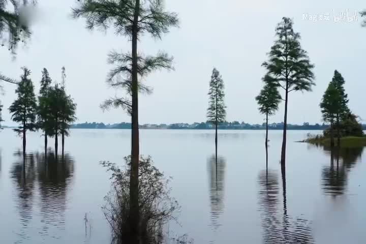 如愿_周深_伴奏