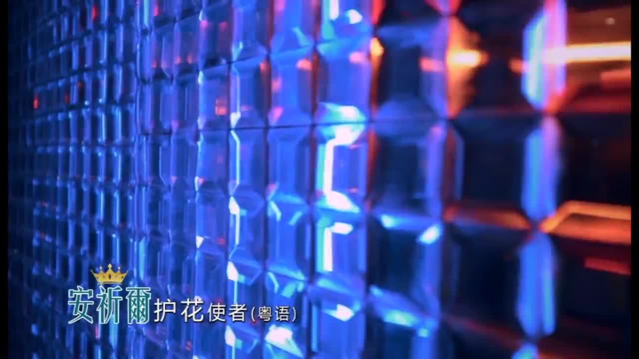 08. 护花使者 (粤语)