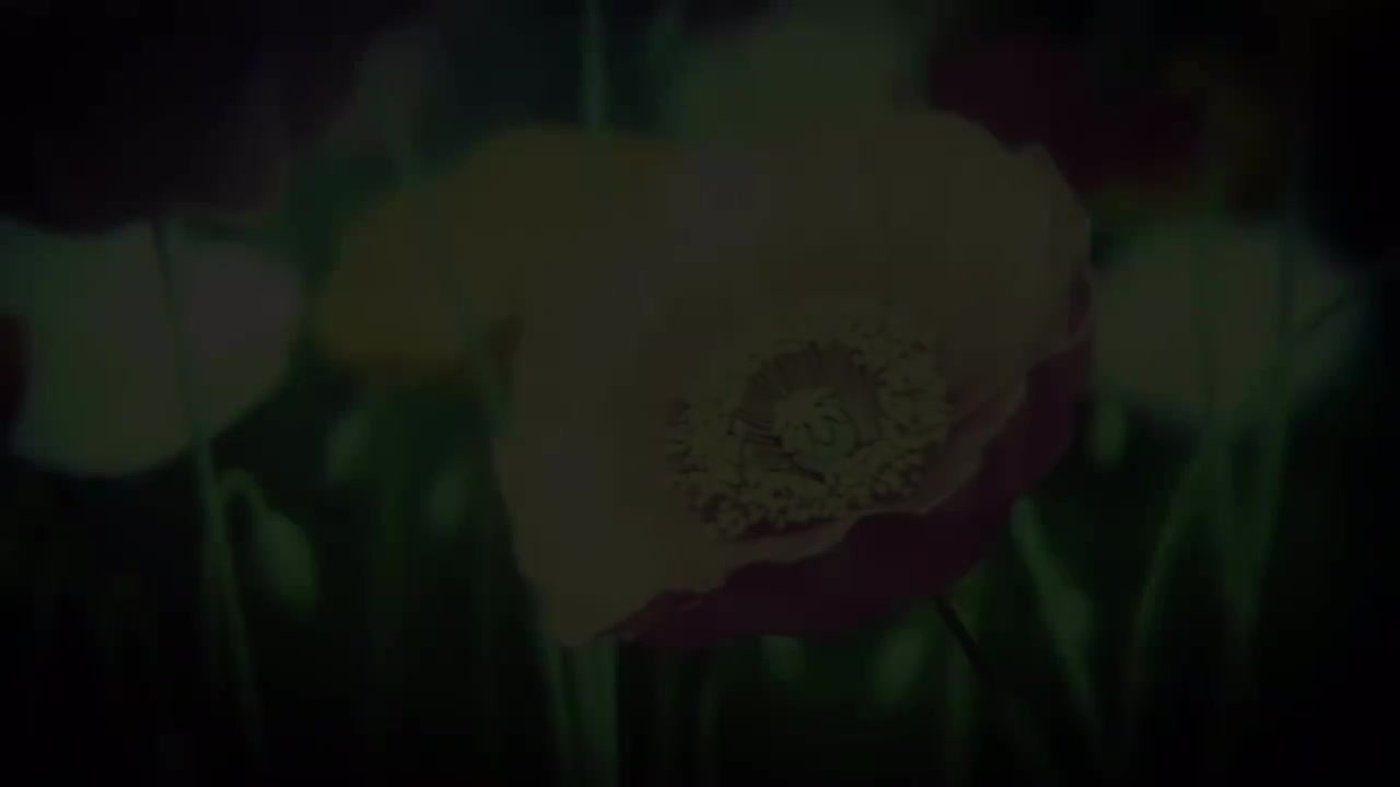 境界的彼方 ED2(ポピーの帰り道)