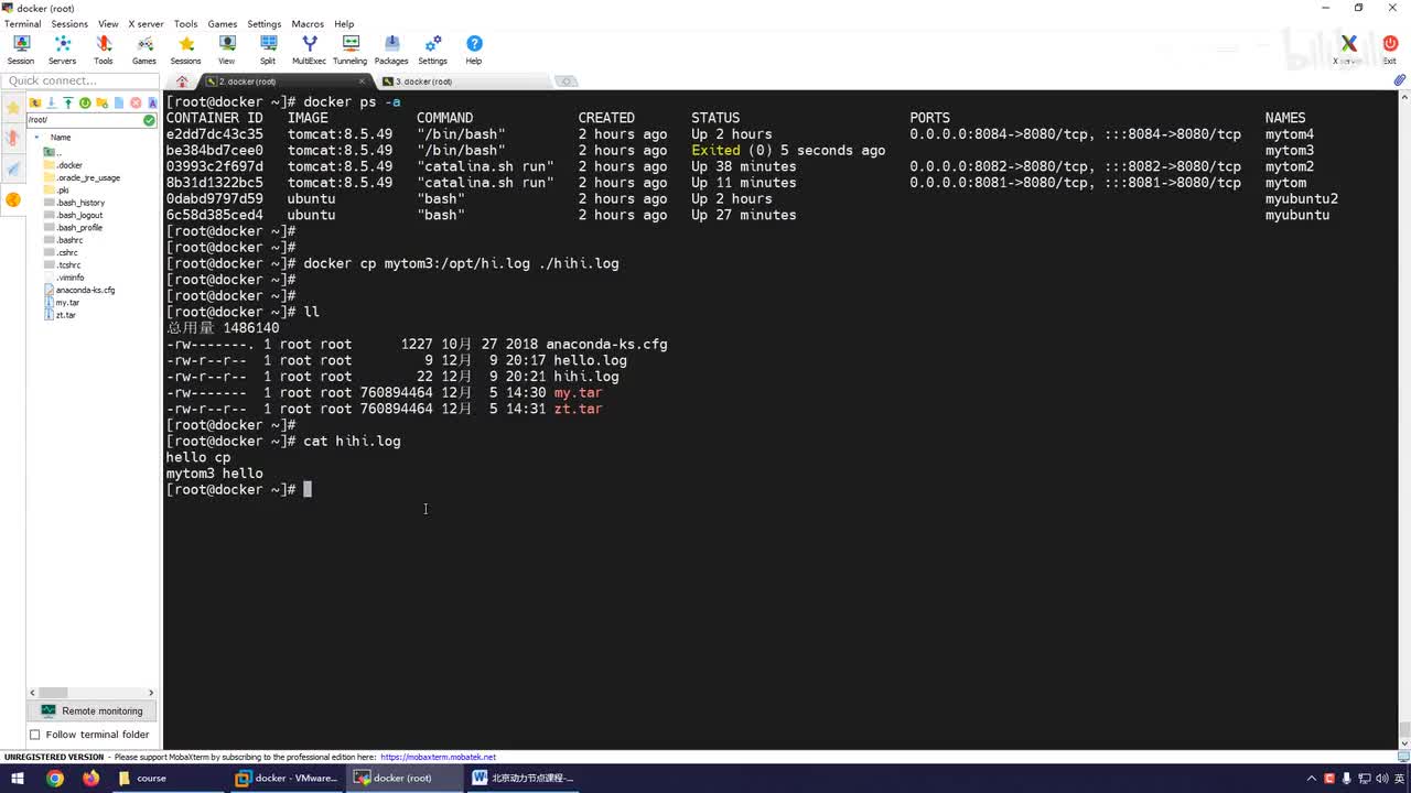 054-docker rm命令详解