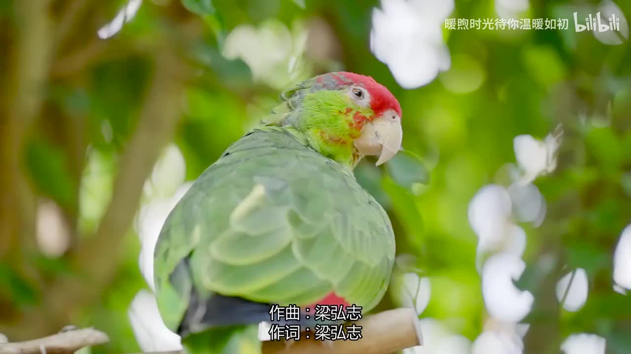 043.零下几度C - 杨林