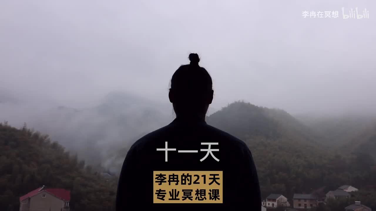 【练习】D11-数息