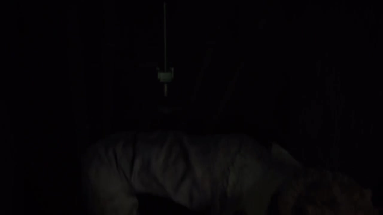 3-5外围-你说什么就做什么