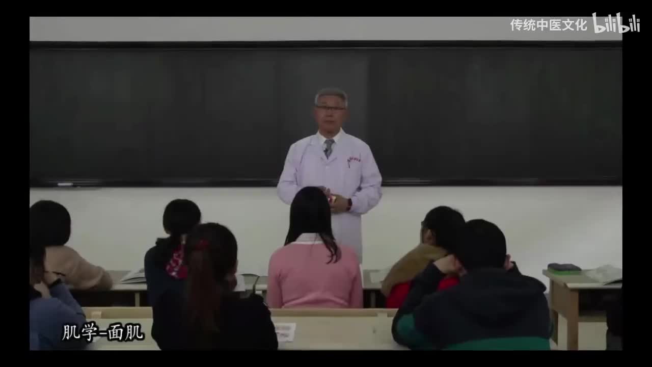 14-解刨学-运动系统-肌学-头肌