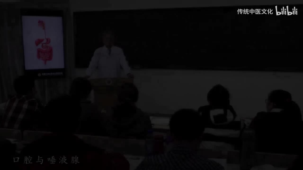 20-解刨学-消化系统-口腔与唾液腺