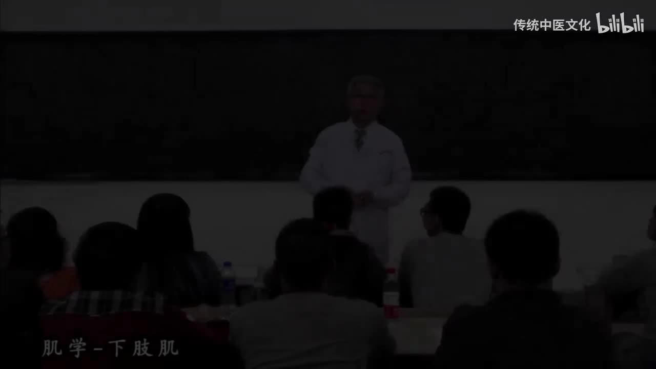 19-解刨学-运动系统-肌学-下肢肌