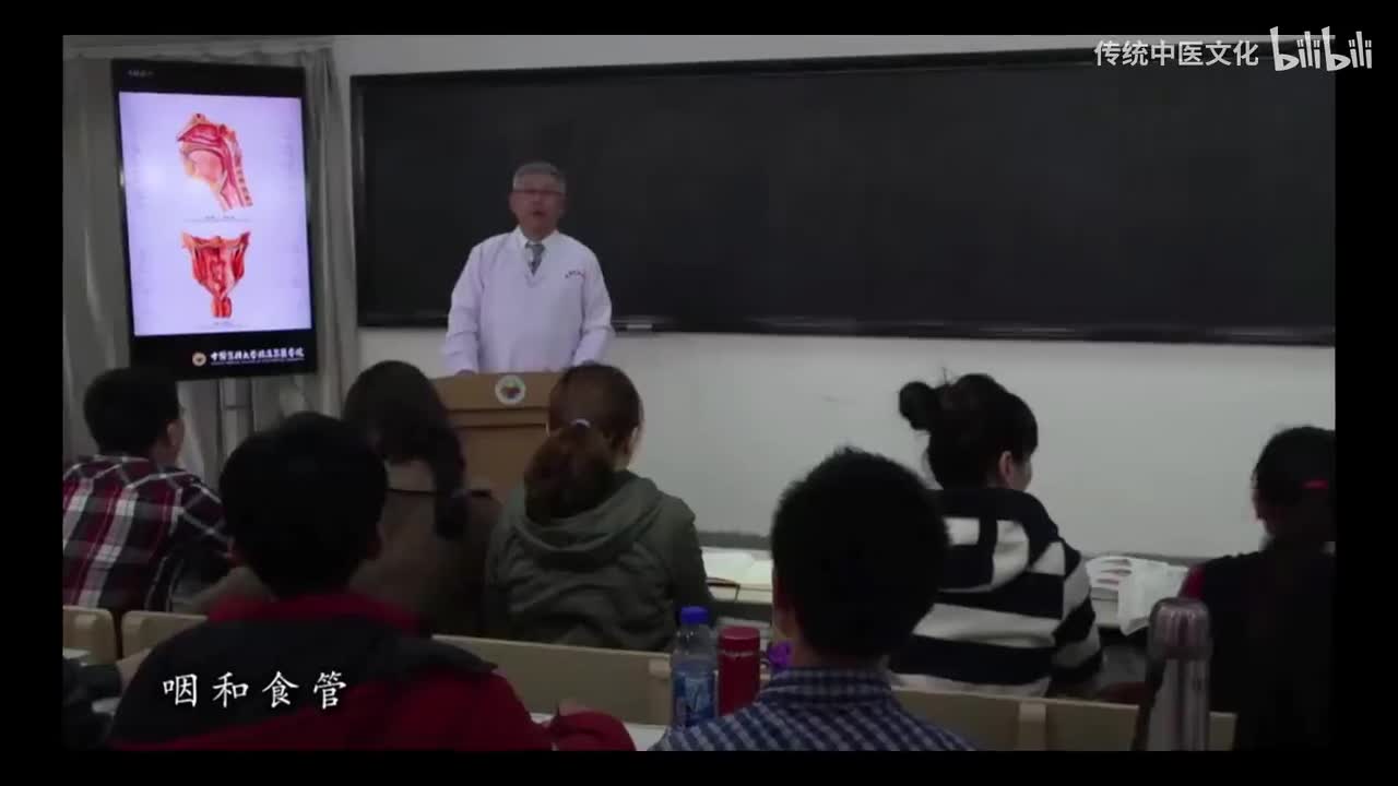 21-解刨学-消化系统-咽和食管