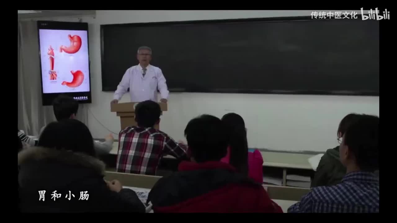 22-解刨学-消化系统-胃和小肠