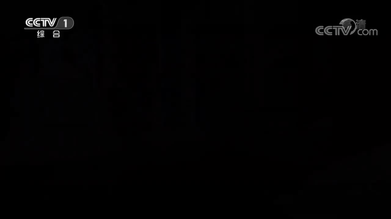 《美术里的中国》 20220411 记写雁荡山花