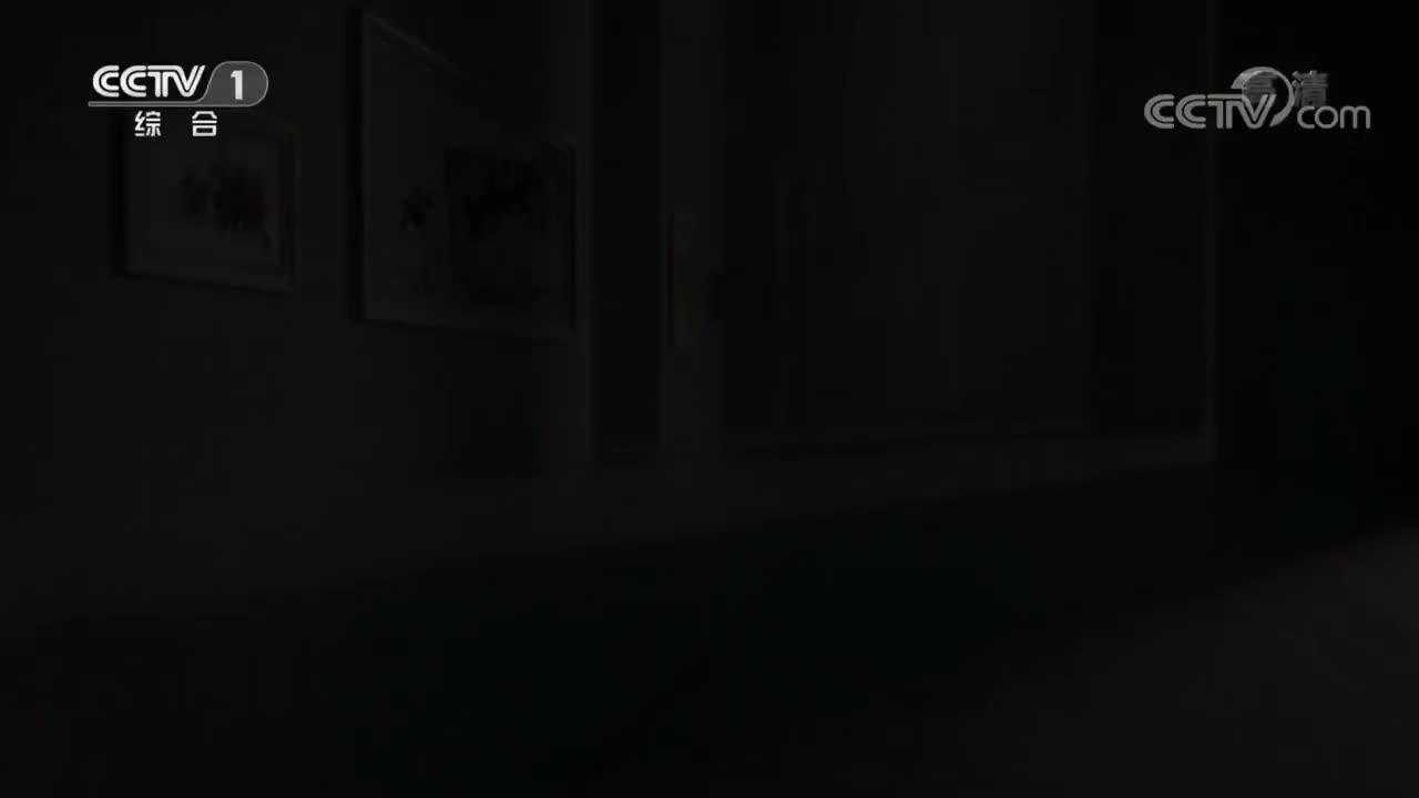 《美术里的中国》 20220426 塔吉克新娘