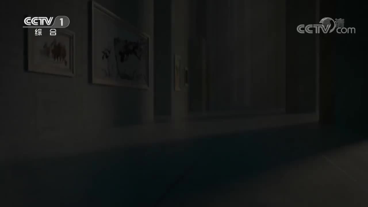 《美术里的中国》 20221011 主人