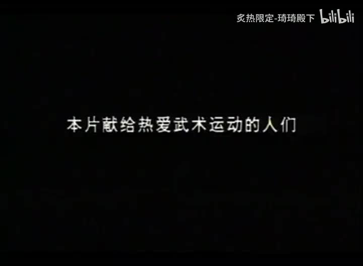 武当传统内家绝技功自然神打
