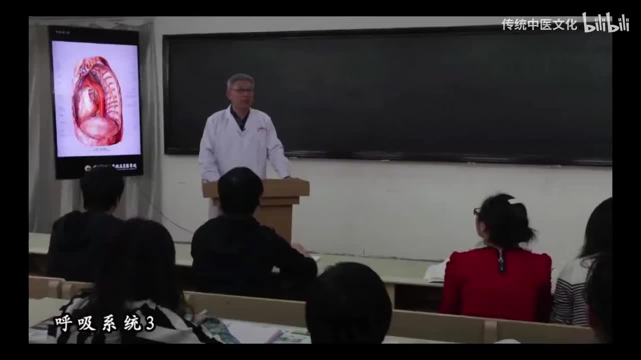 27-解刨学-呼吸系统-胸膜、胸膜腔和纵隔