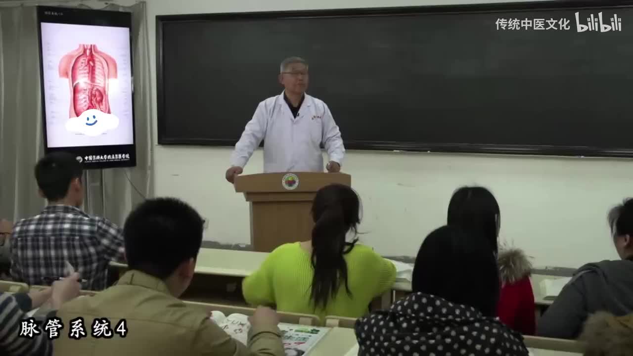 38-解刨学-脉管系统4