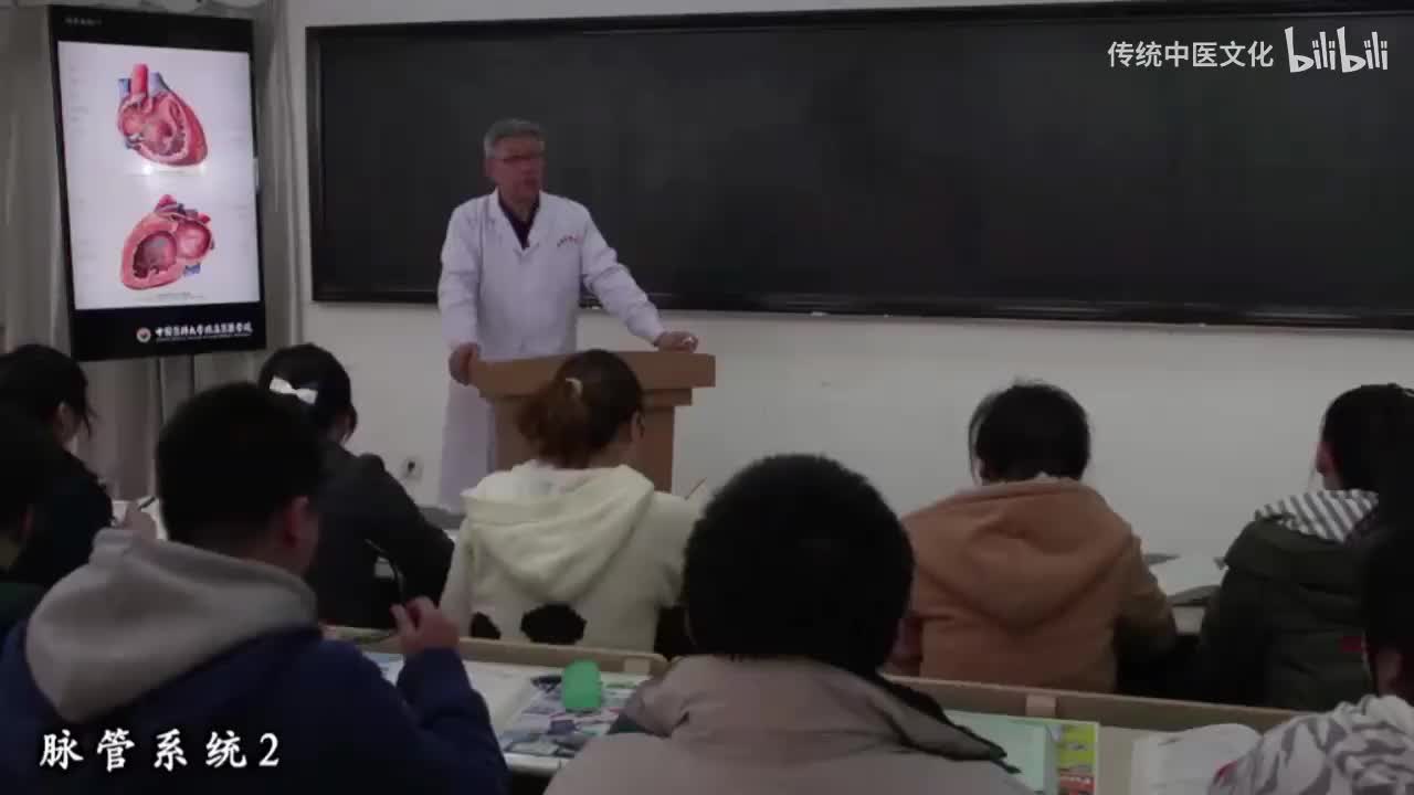 36-解刨学-脉管系统2