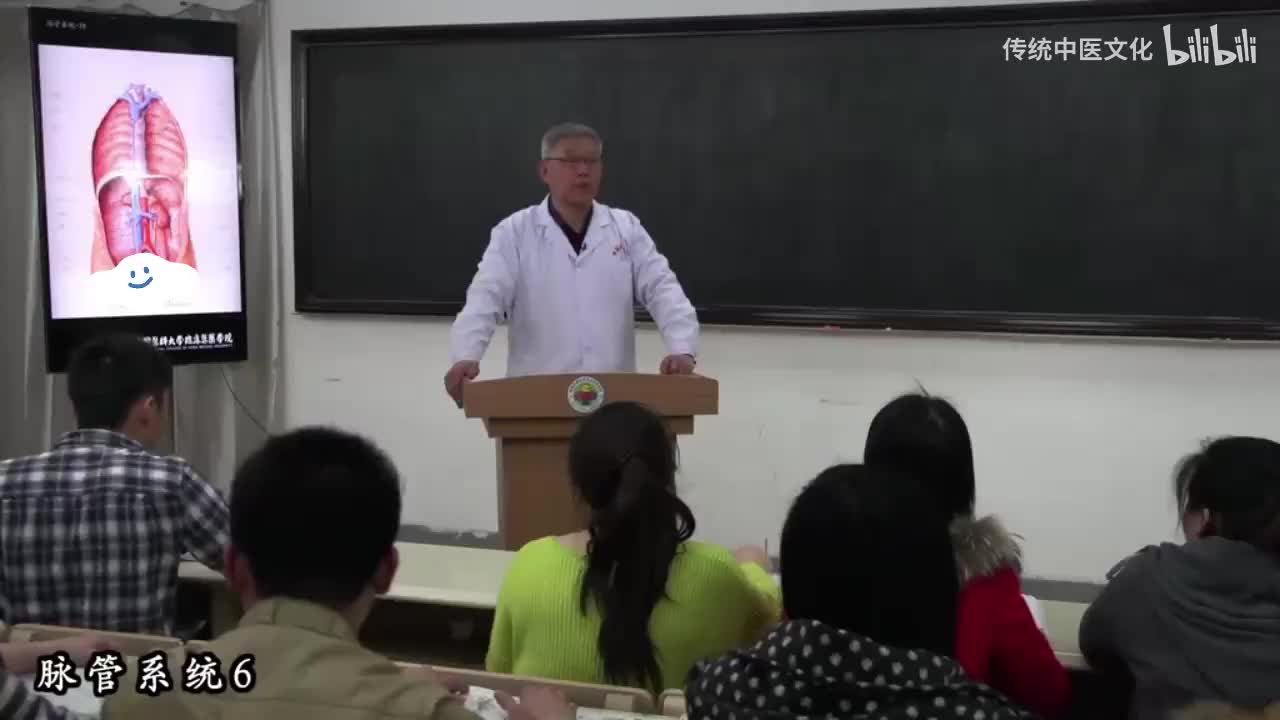 40-解刨学-脉管系统6