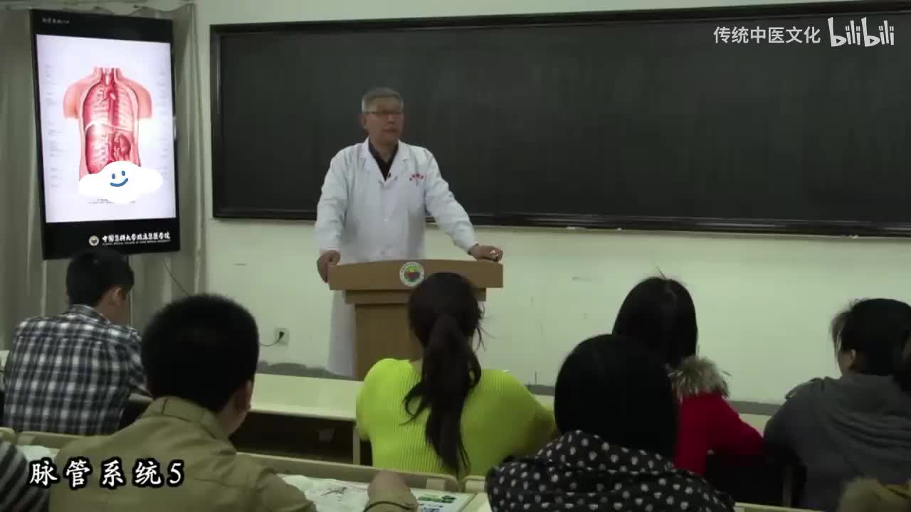 39-解刨学-脉管系统5