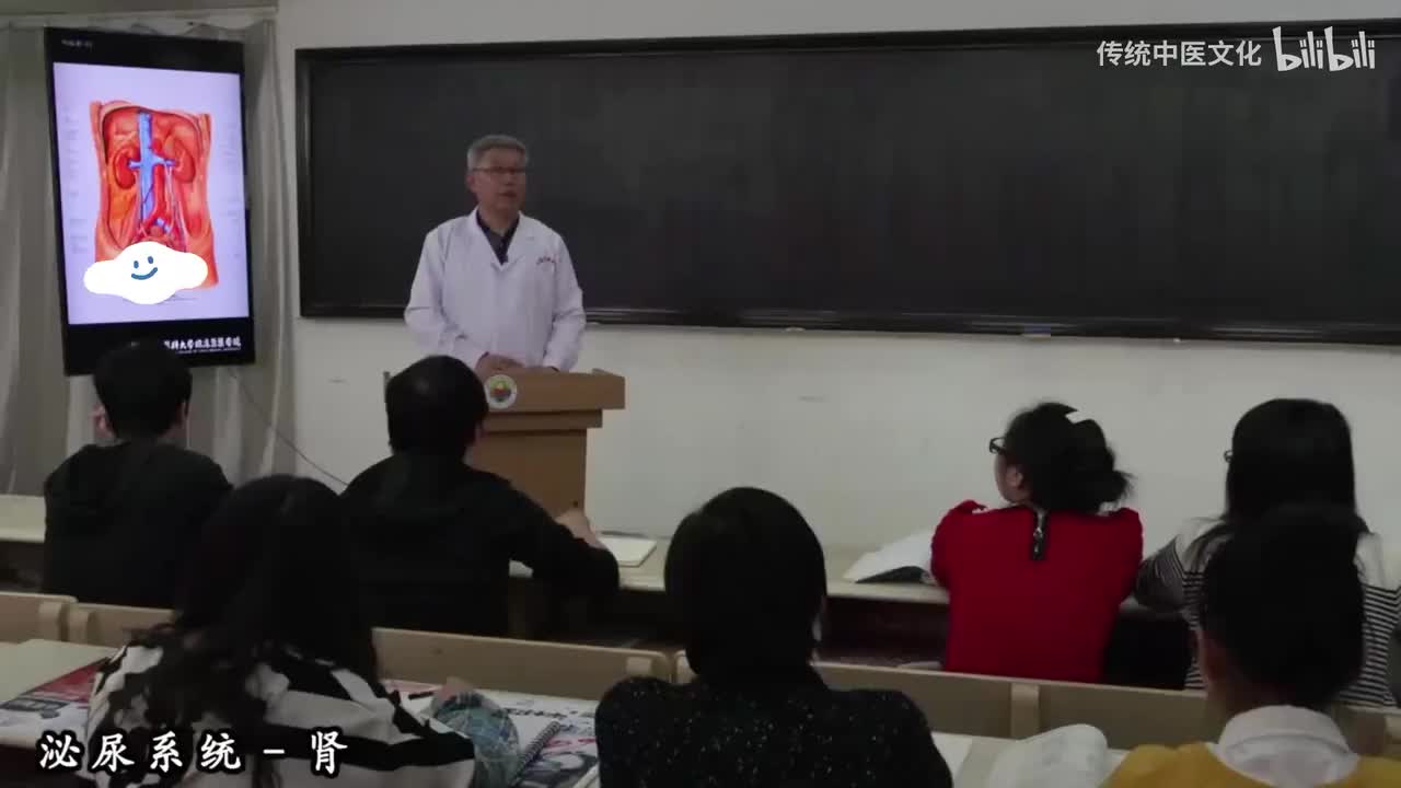 28-解刨学-泌尿系统1