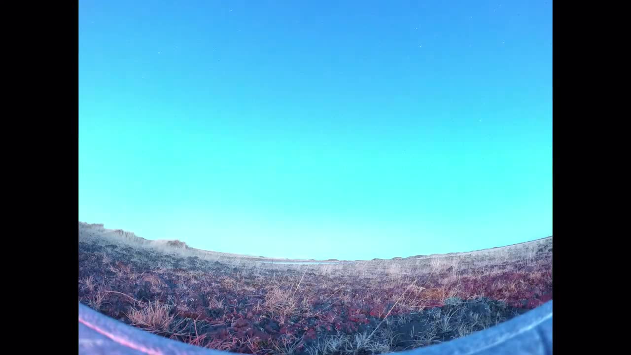 感谢你的观看和支持啦！