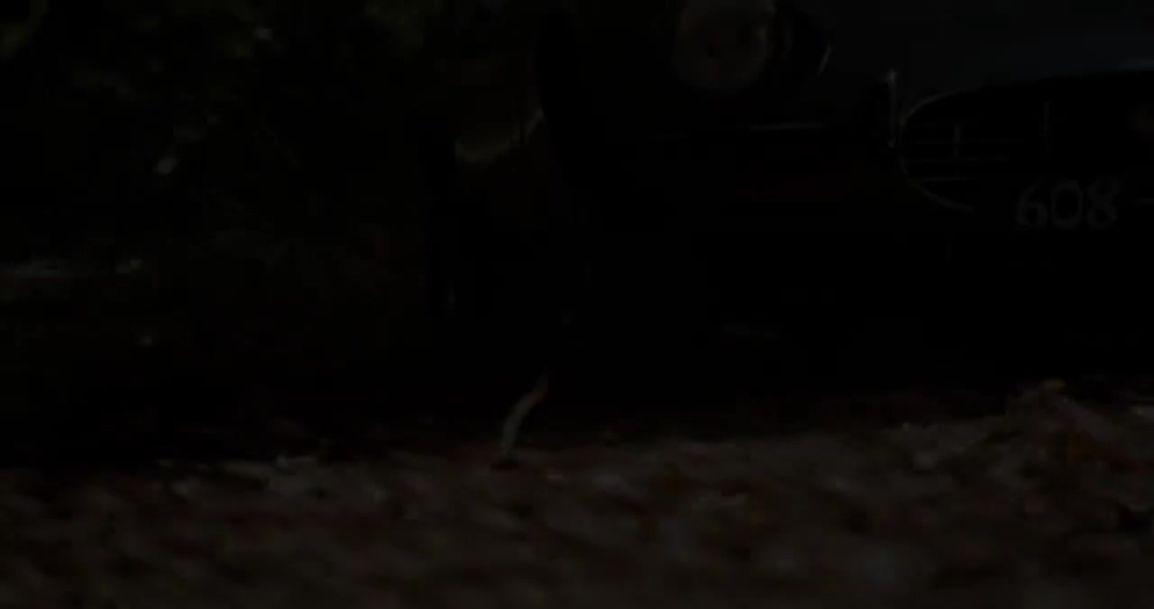 梅艳芳-似是故人来(无损发烧音质混剪自制4K60MV)Hi-Res(FLAC24/96)