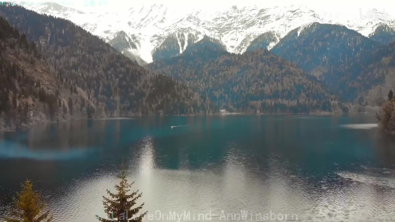 《La La Love On My Mind》