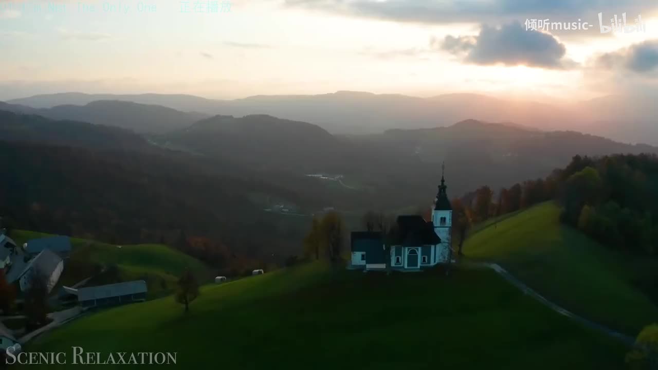 《I'm Not The Only One》