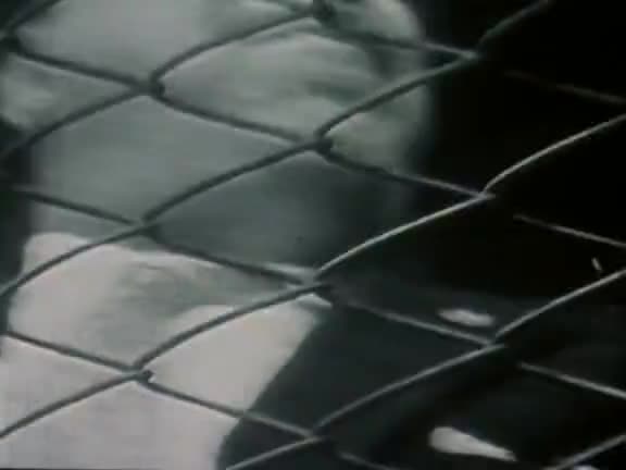 正太剪辑20230324_015905_12