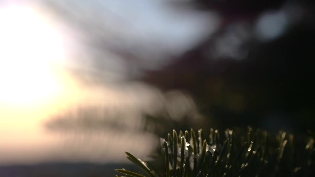 冬季系列素材（2）