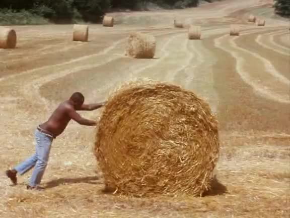 正太剪辑20230324_015905_03