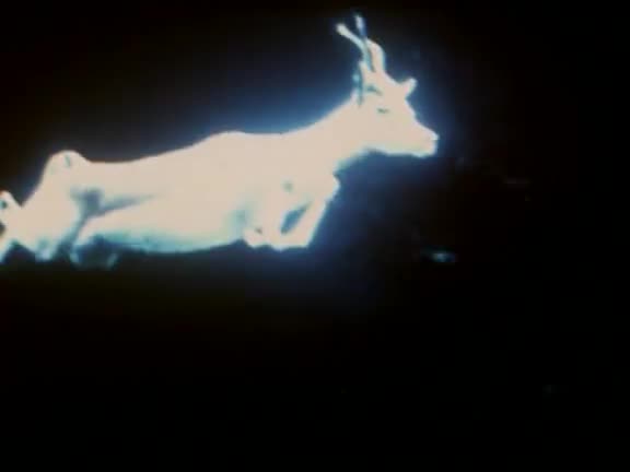 正太剪辑20230324_015905_16