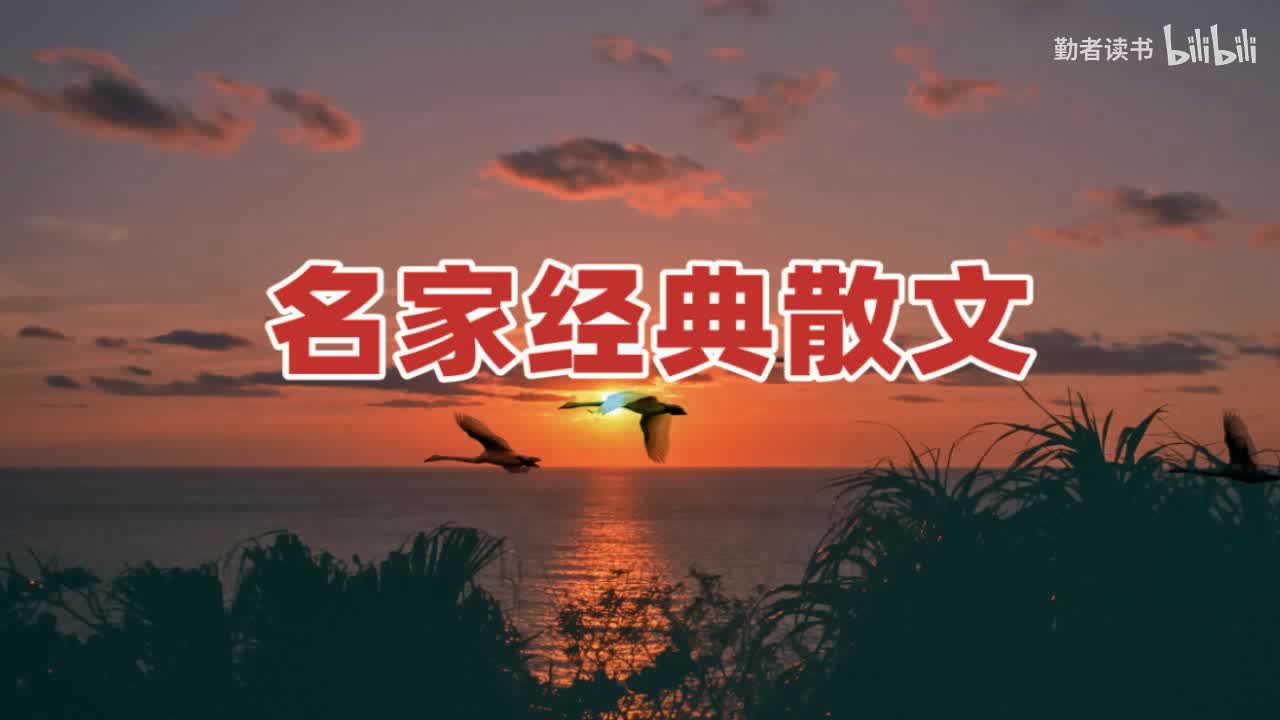 32 沈从文：聪明人理解生活愚蠢人习惯生活