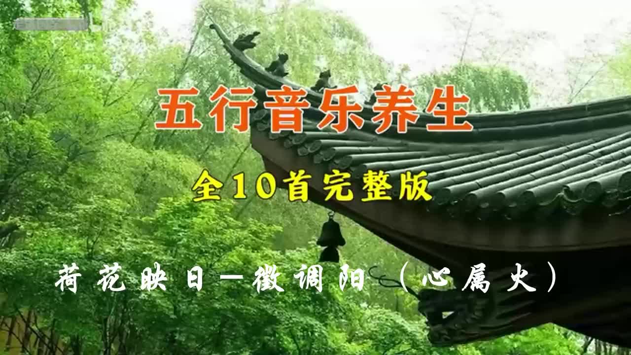 04、荷花映日-徵调阳（心属火）