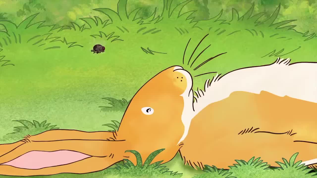 Hare's Eye View