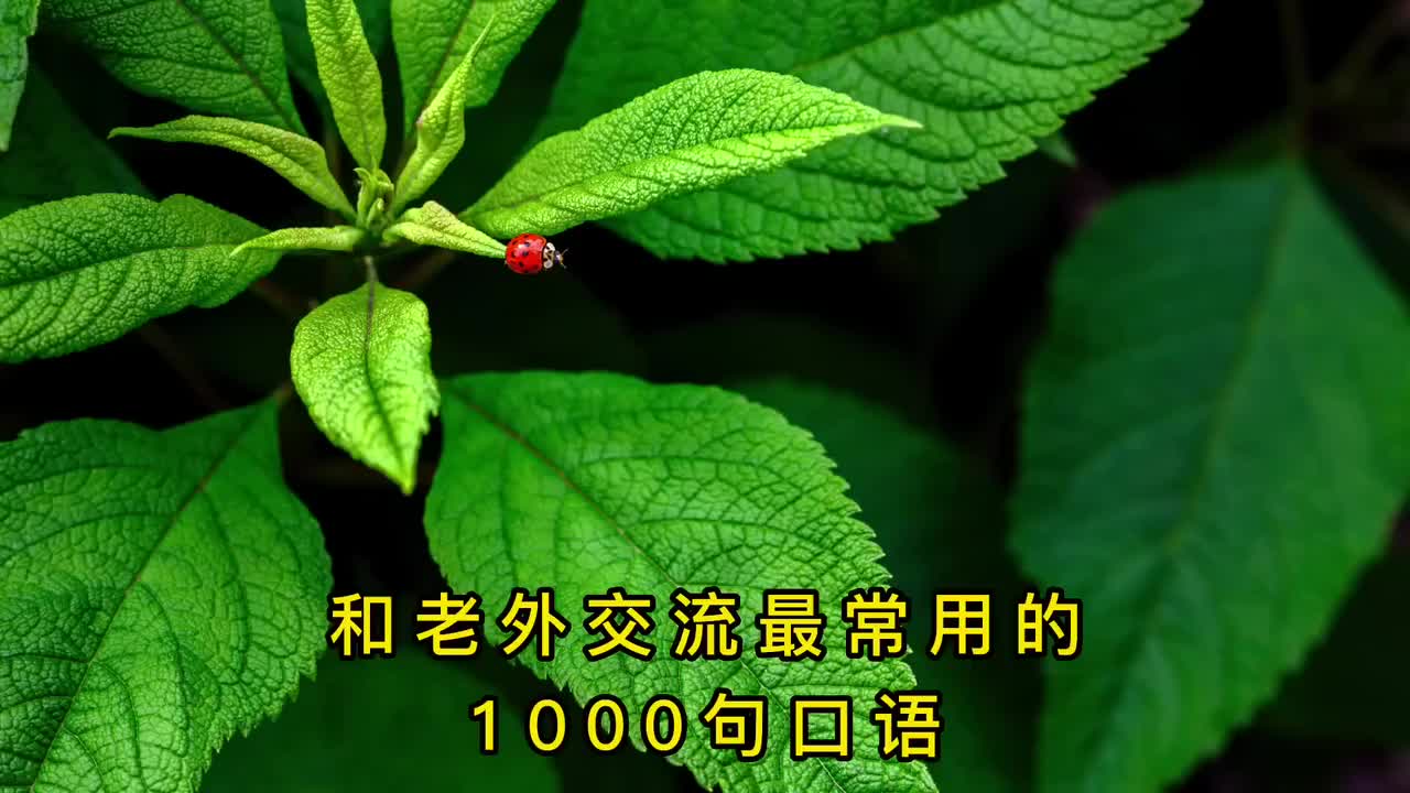 【和老外交流最常用的1000句口语】学完这1000句，口语流利赛老外！【第四集】#英语口语#英语听力#柘利英语#2022