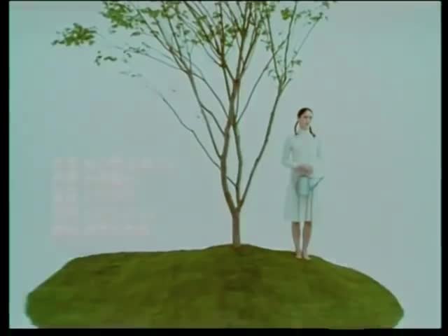 红豆 (Red Bean) 《可啦思刻》