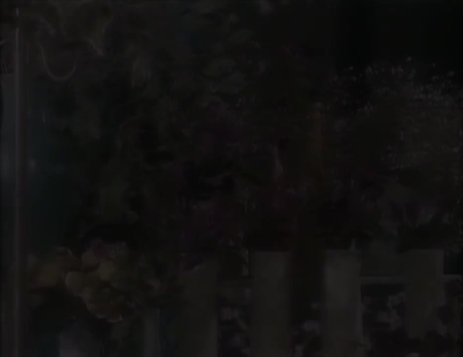 crc 绿色ktv字幕