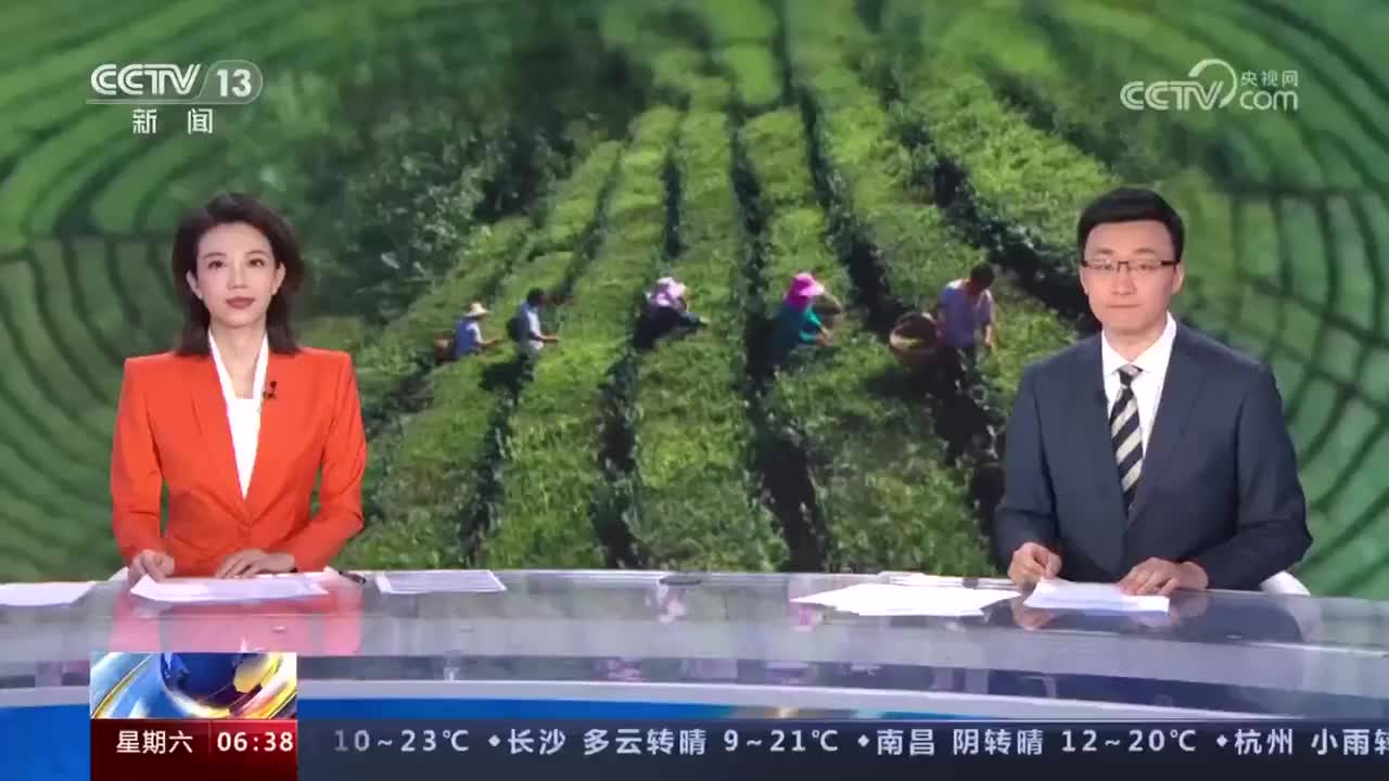 茶产业一线观察 新闻链接：我国茶叶出口保持良好势头