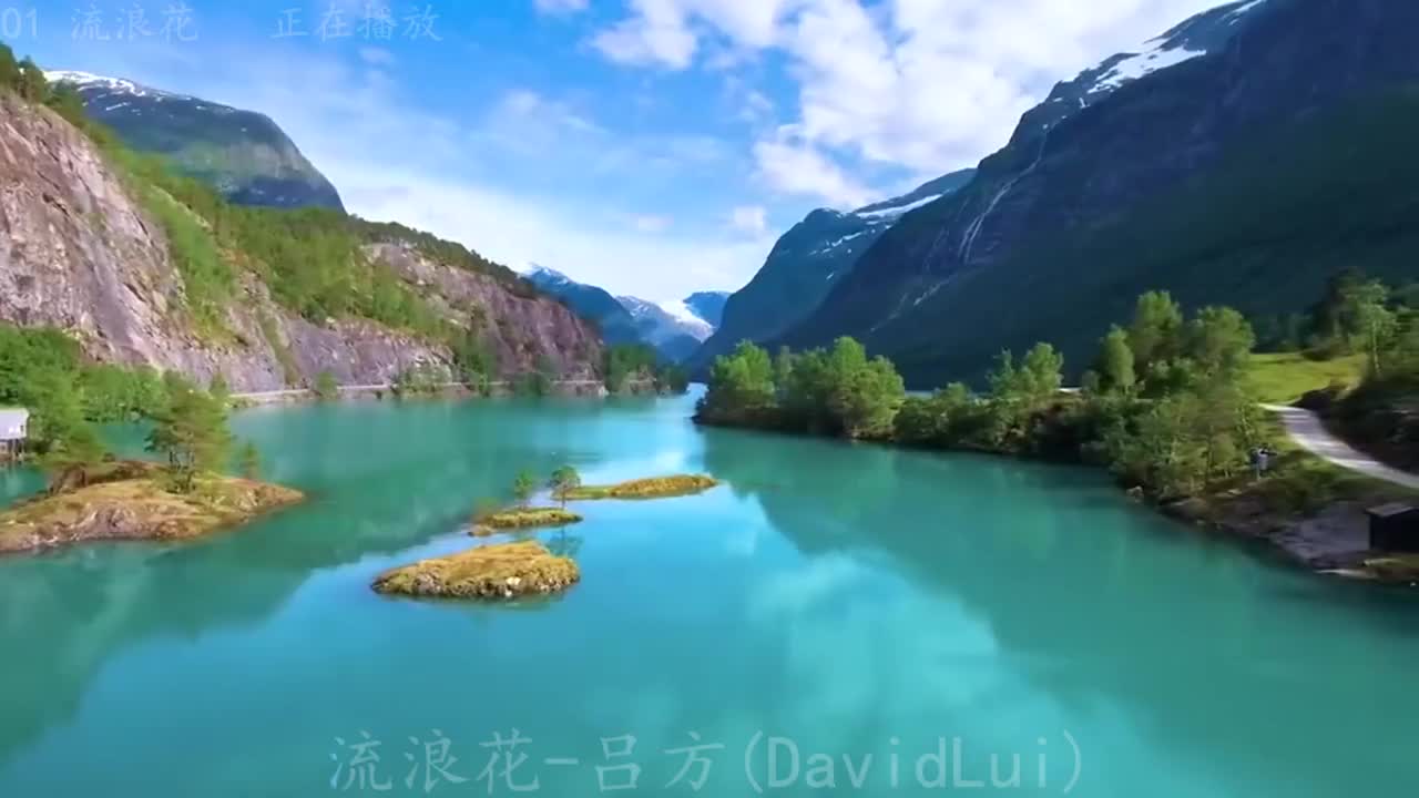 《流浪花》