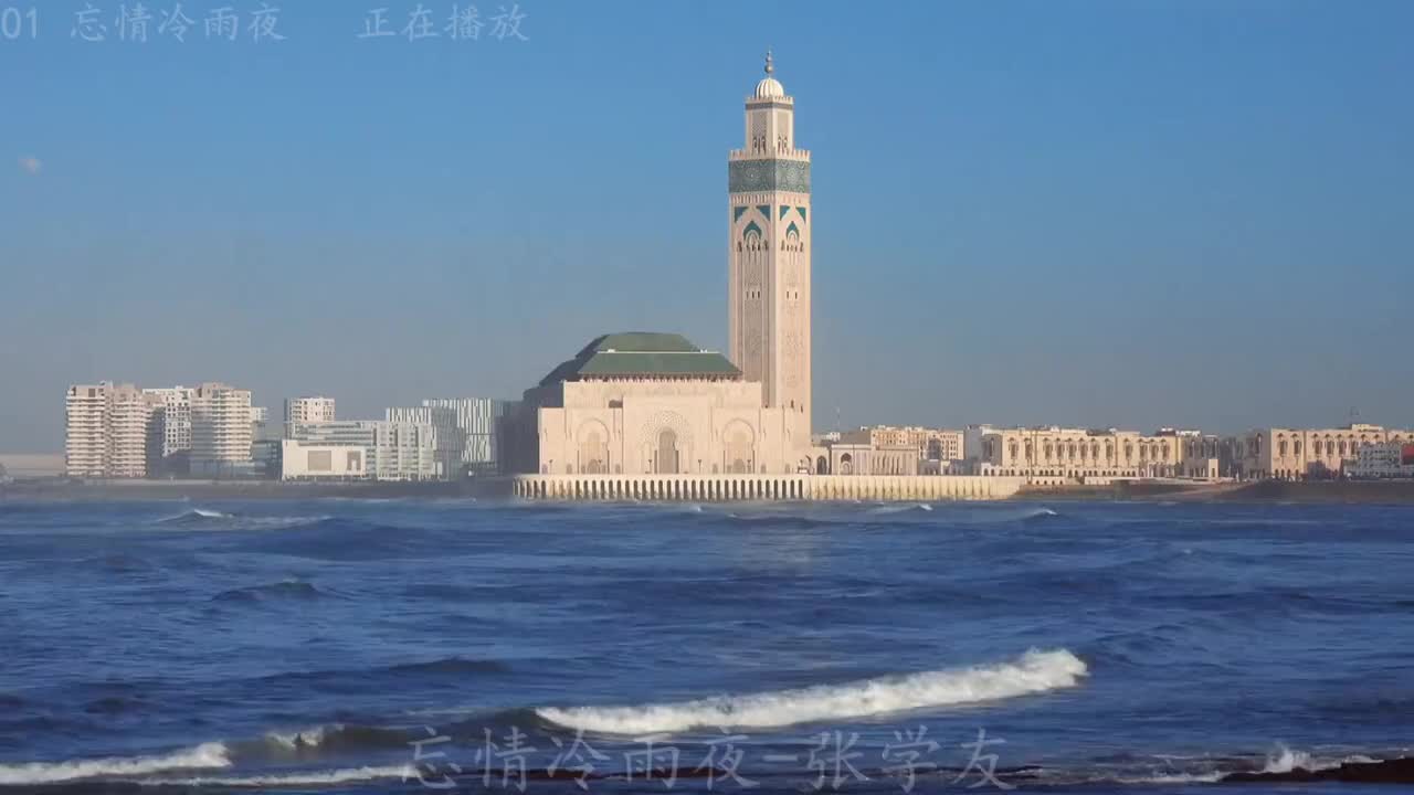 《忘情冷雨夜》