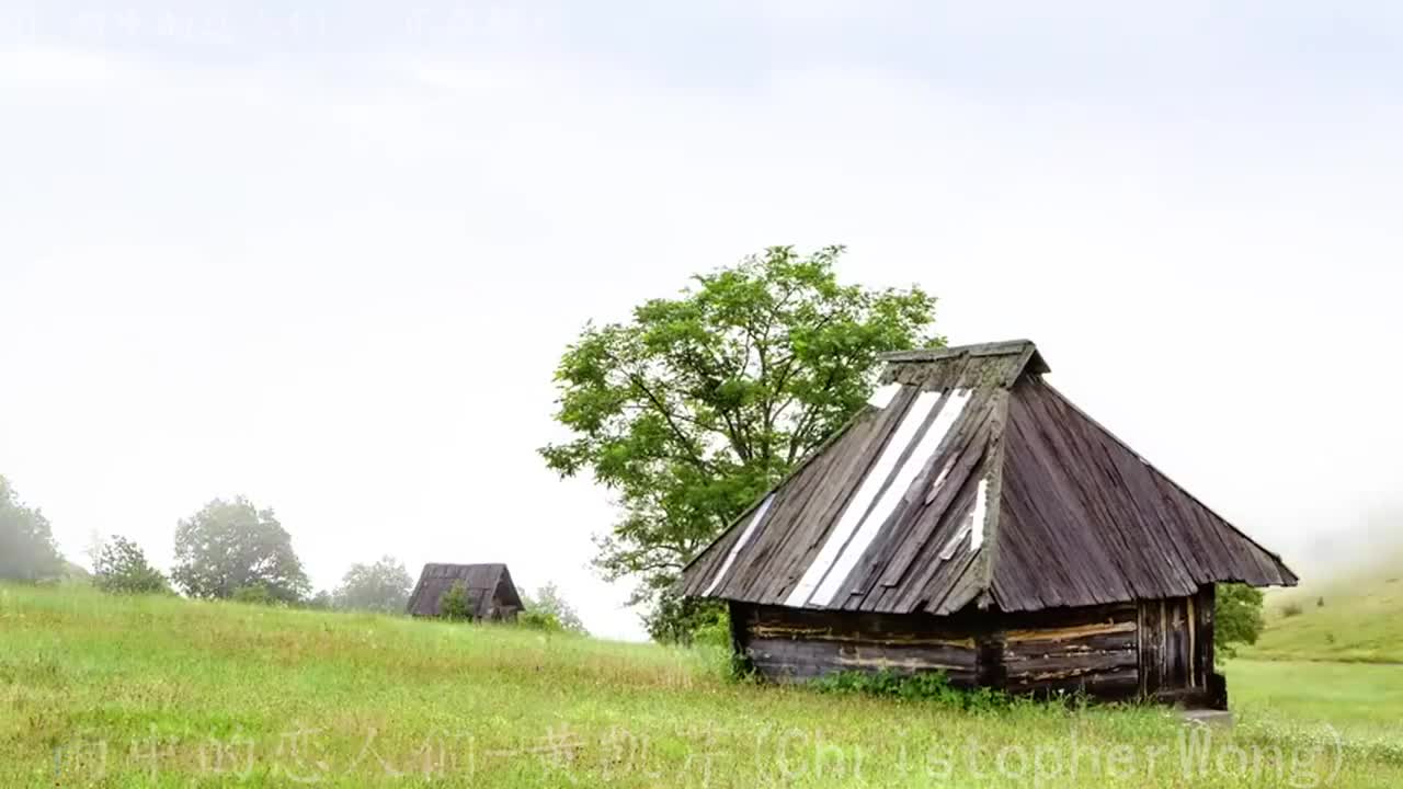 《雨中的恋人们》