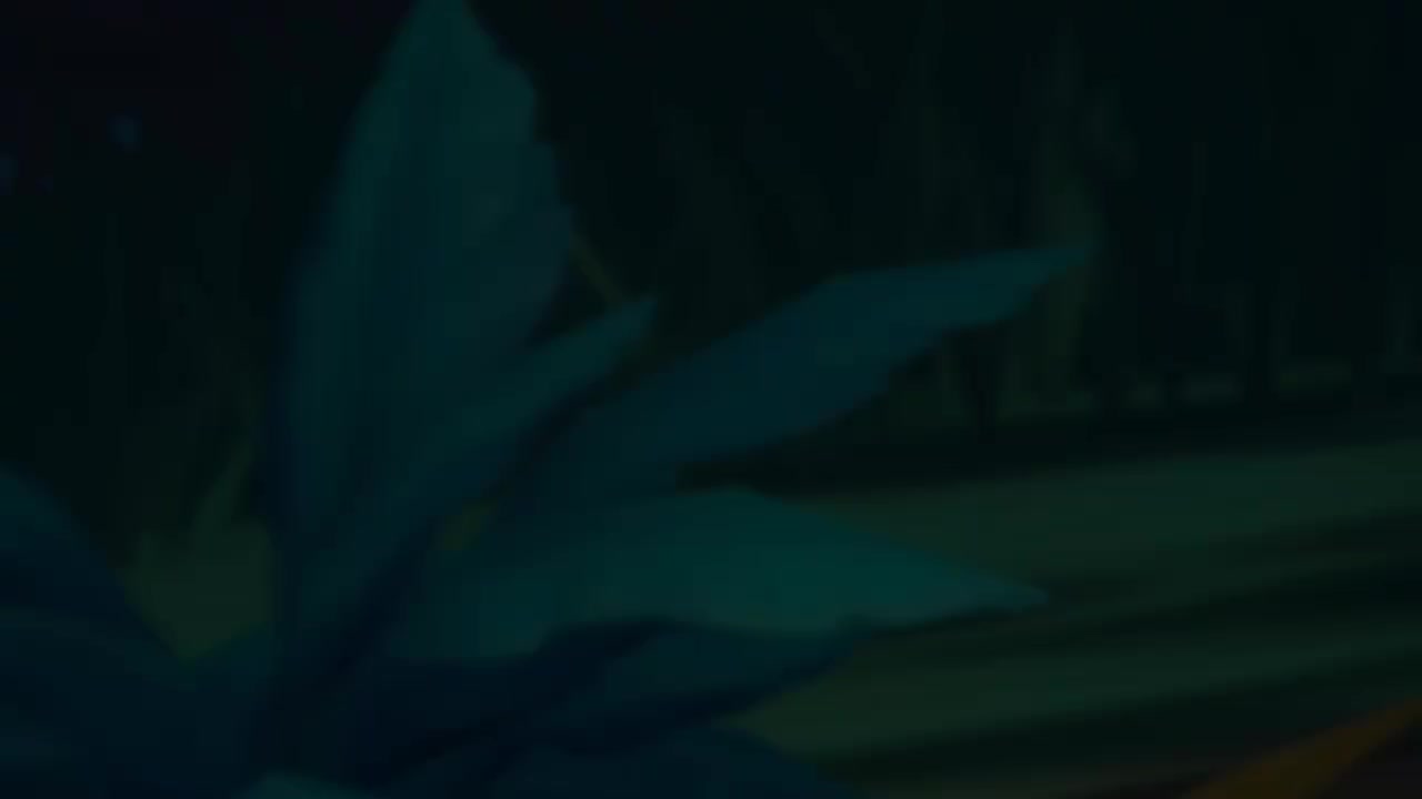 《原神》传说任务——盛典与慧业