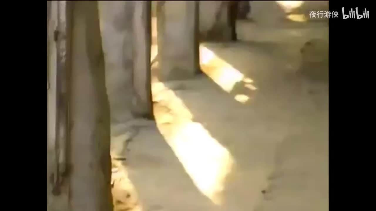 来生缘 - 刘德华