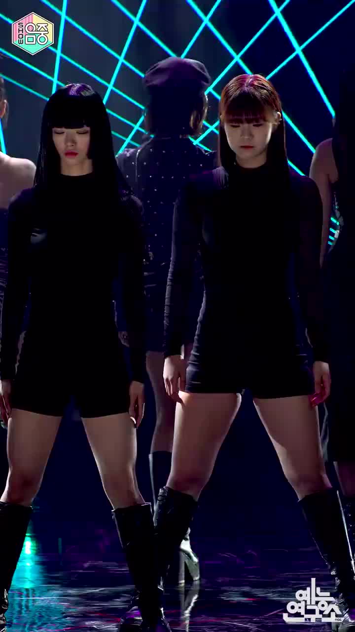 【单人直拍】WINTER