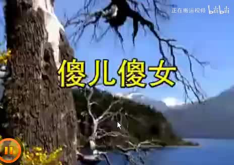 082.二人台 光棍哭妻之傻儿傻女