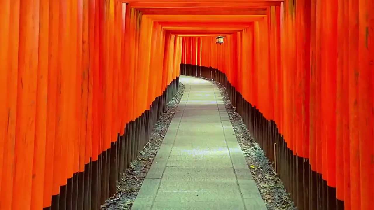 A_productive_day_in_my_life__Packing_and_moving_abroad_🇮🇹